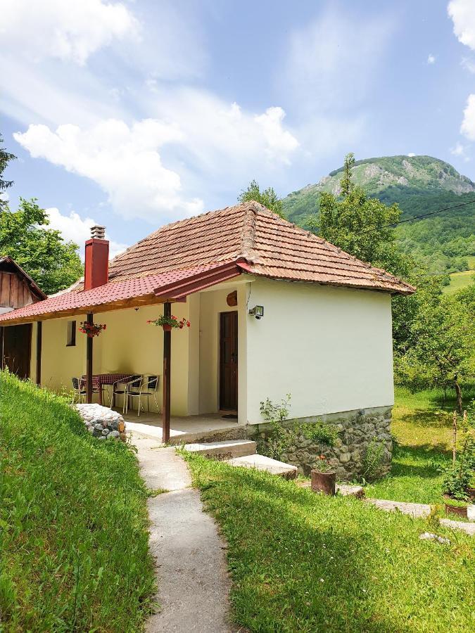 Farmstead Green Haven Mojkovac Exterior foto